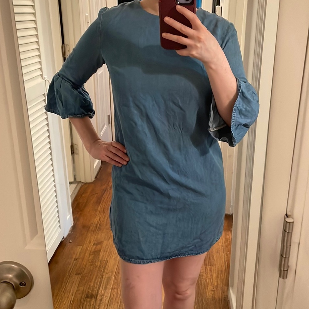 Zara Premium Denim Collection Dress